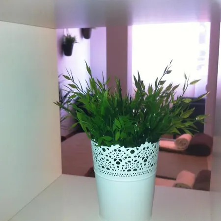 Apartamento São Lázaro