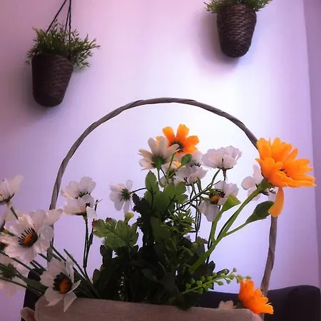 São Lázaro Apartamento